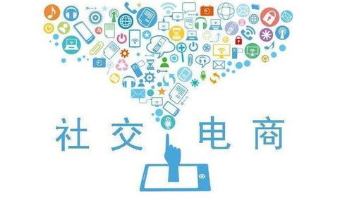 家用電器電商項目 如何快速實現盈利